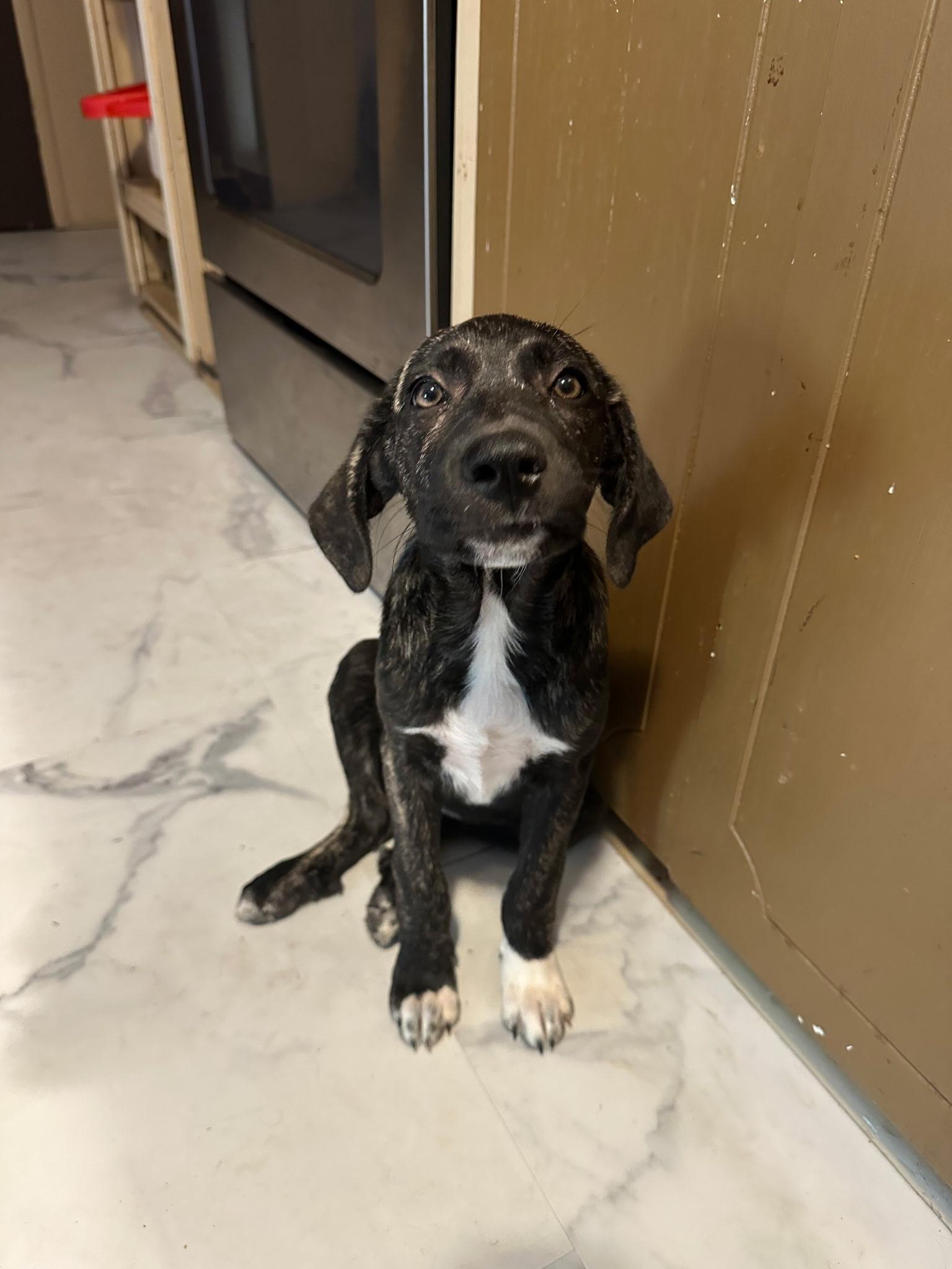 Soup and/or Crackers