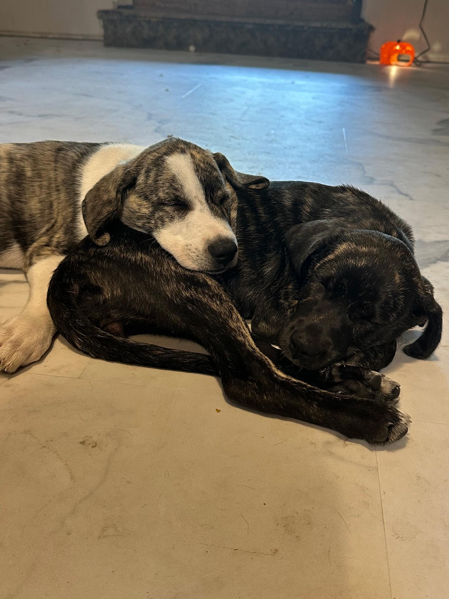 Soup and/or Crackers