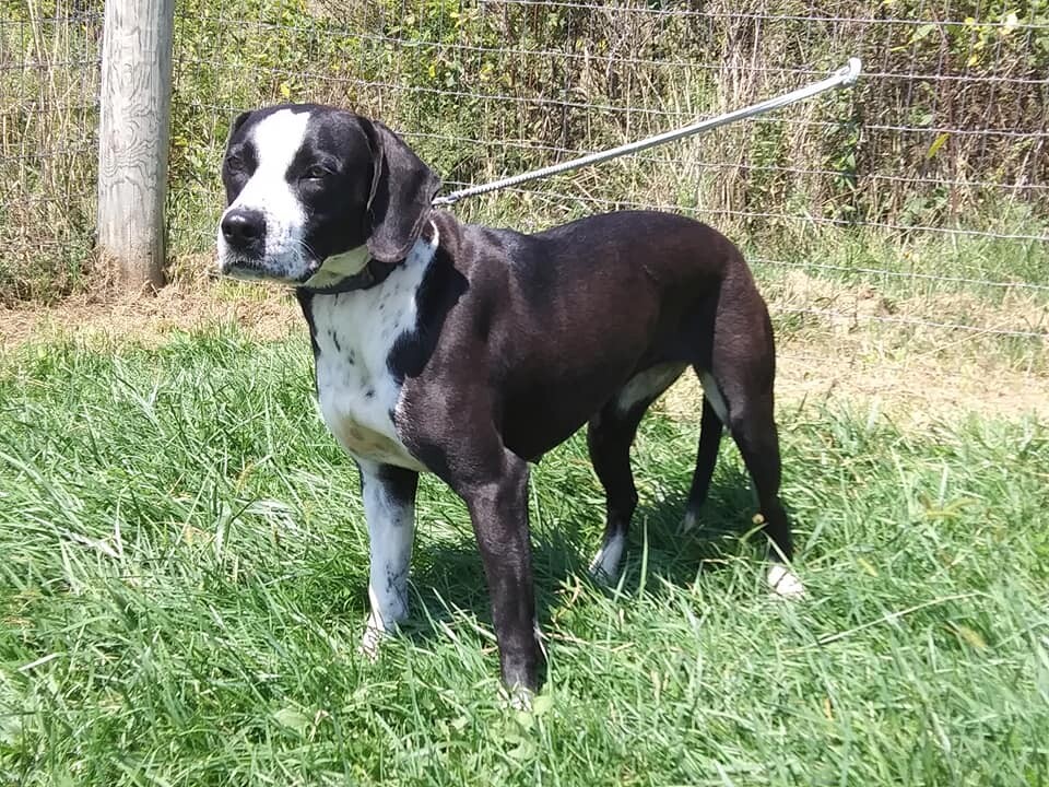 URGENT! Trisha photo 4