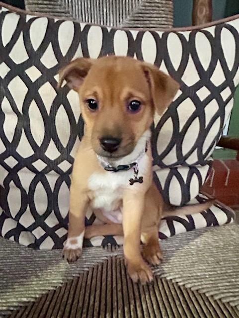 RIPLEY — thumbnail 2