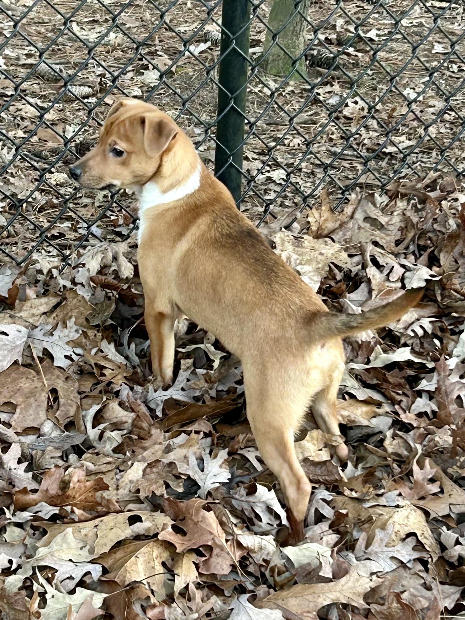 RIPLEY — thumbnail 3