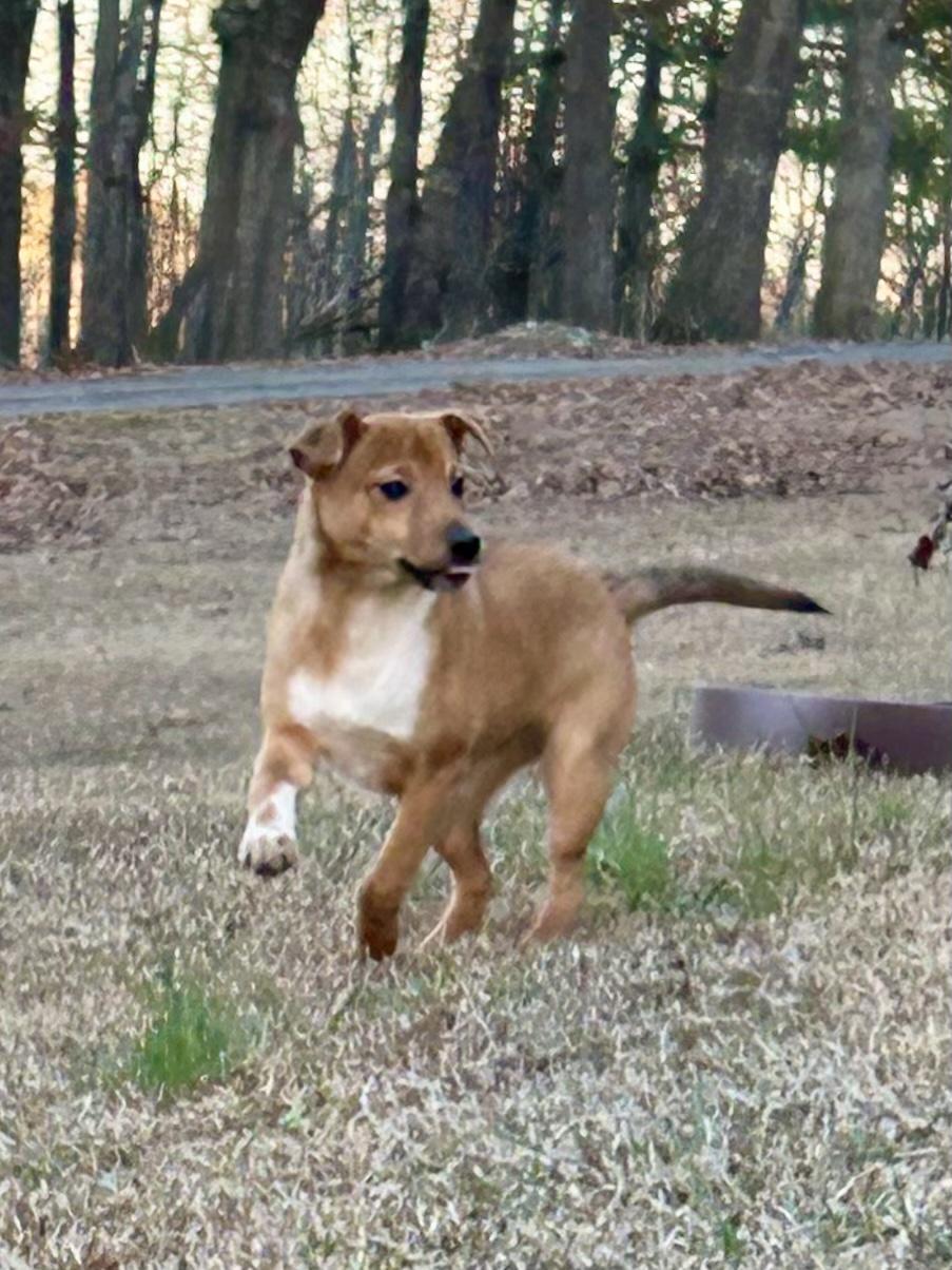 RIPLEY — thumbnail 4