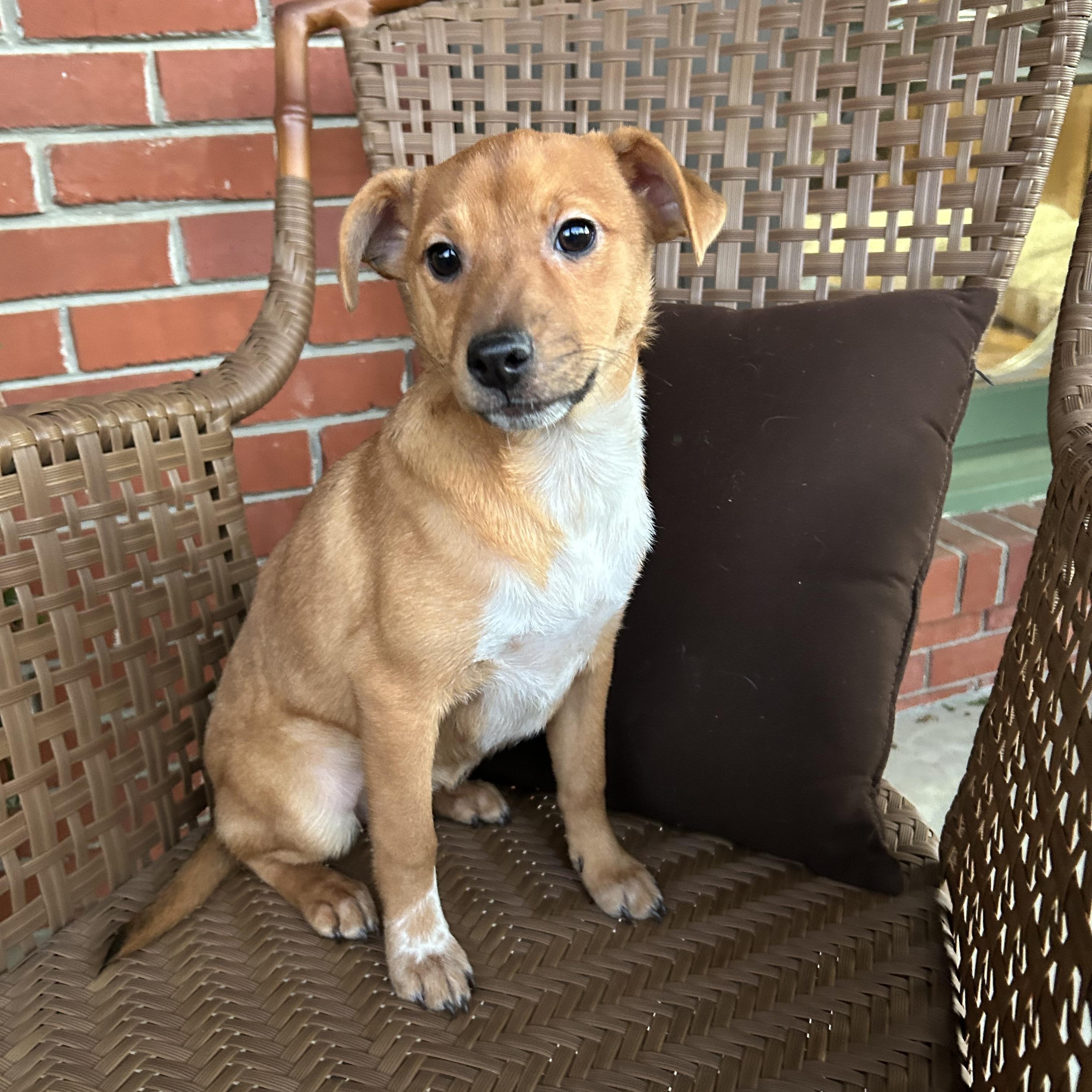 RIPLEY — thumbnail 5