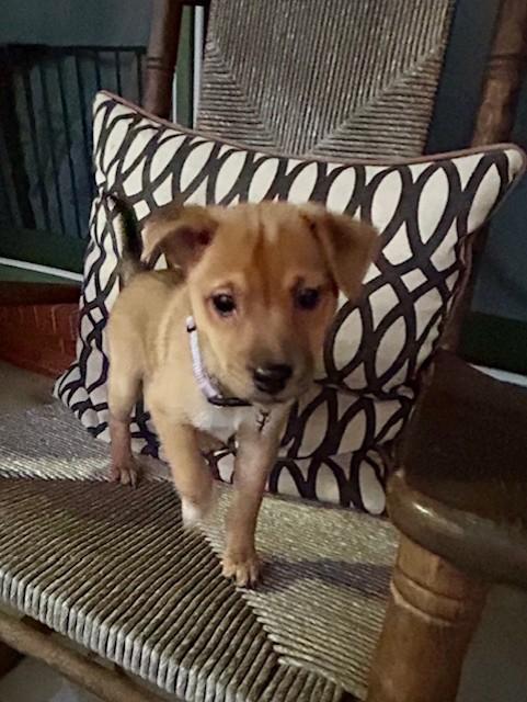 RIPLEY — thumbnail 6