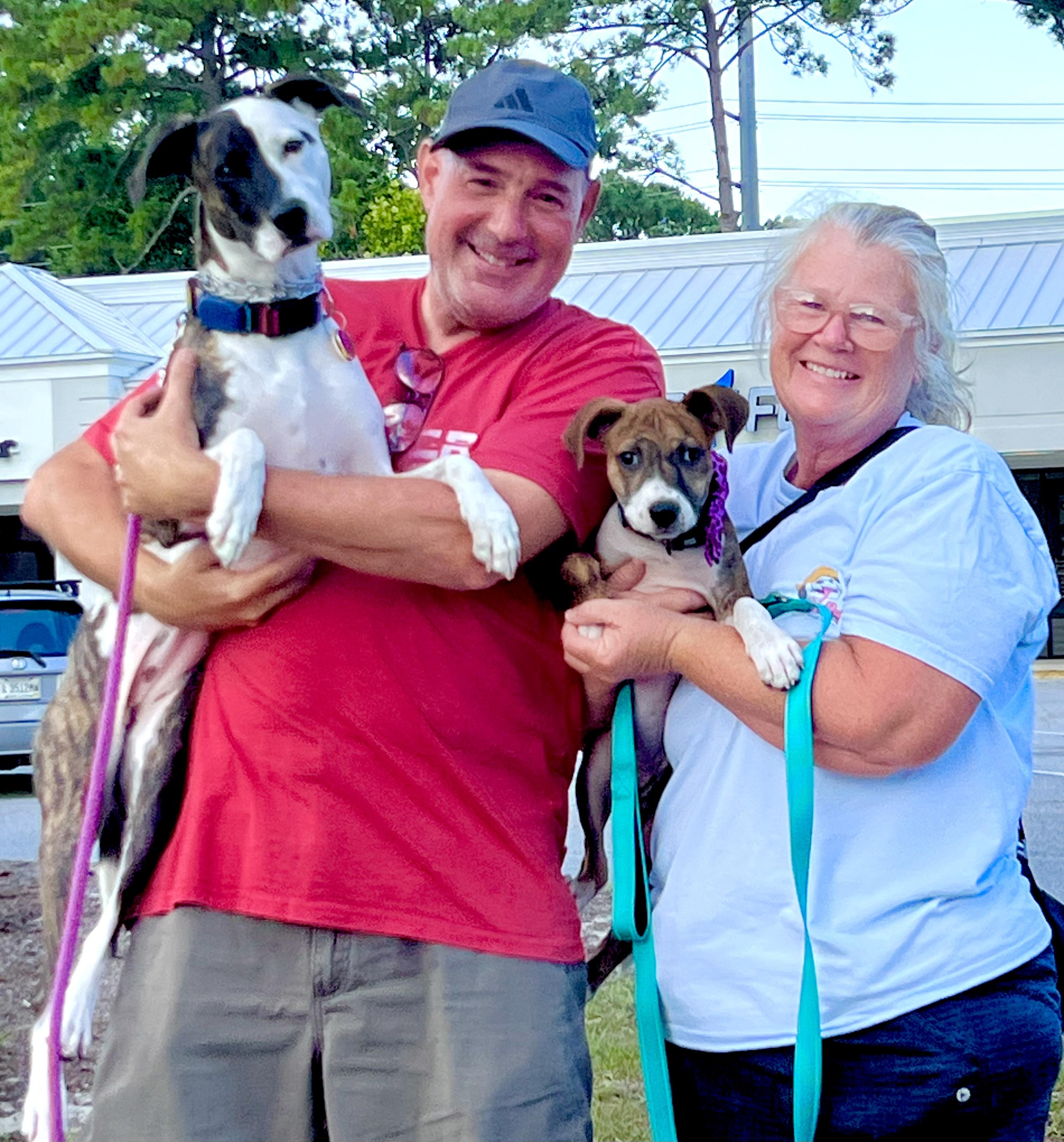 Enlarge Mavis, an adopted mixed breed in Mt Pleasant, SC image 5/5