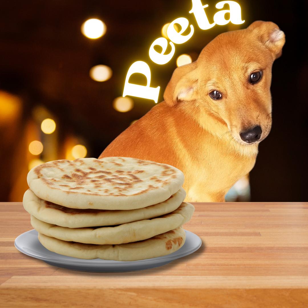 Enlarge Peeta, a Adoptable Chihuahua in Aransas Pass, TX image 1/1