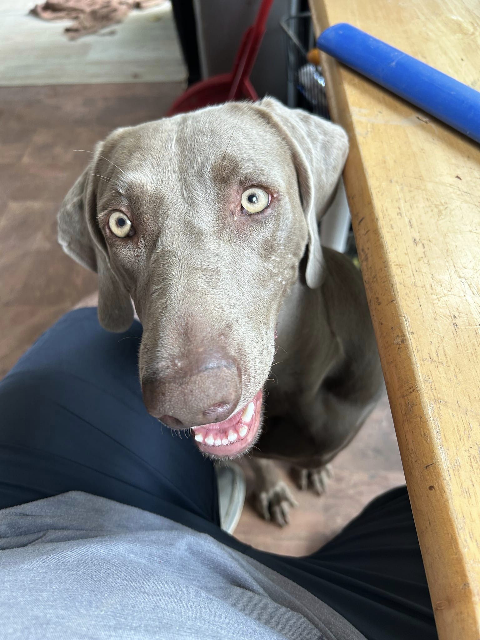 Nora