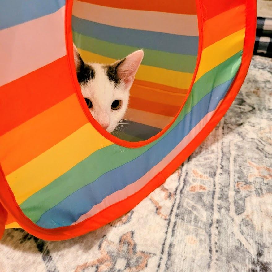 Mello — thumbnail 2