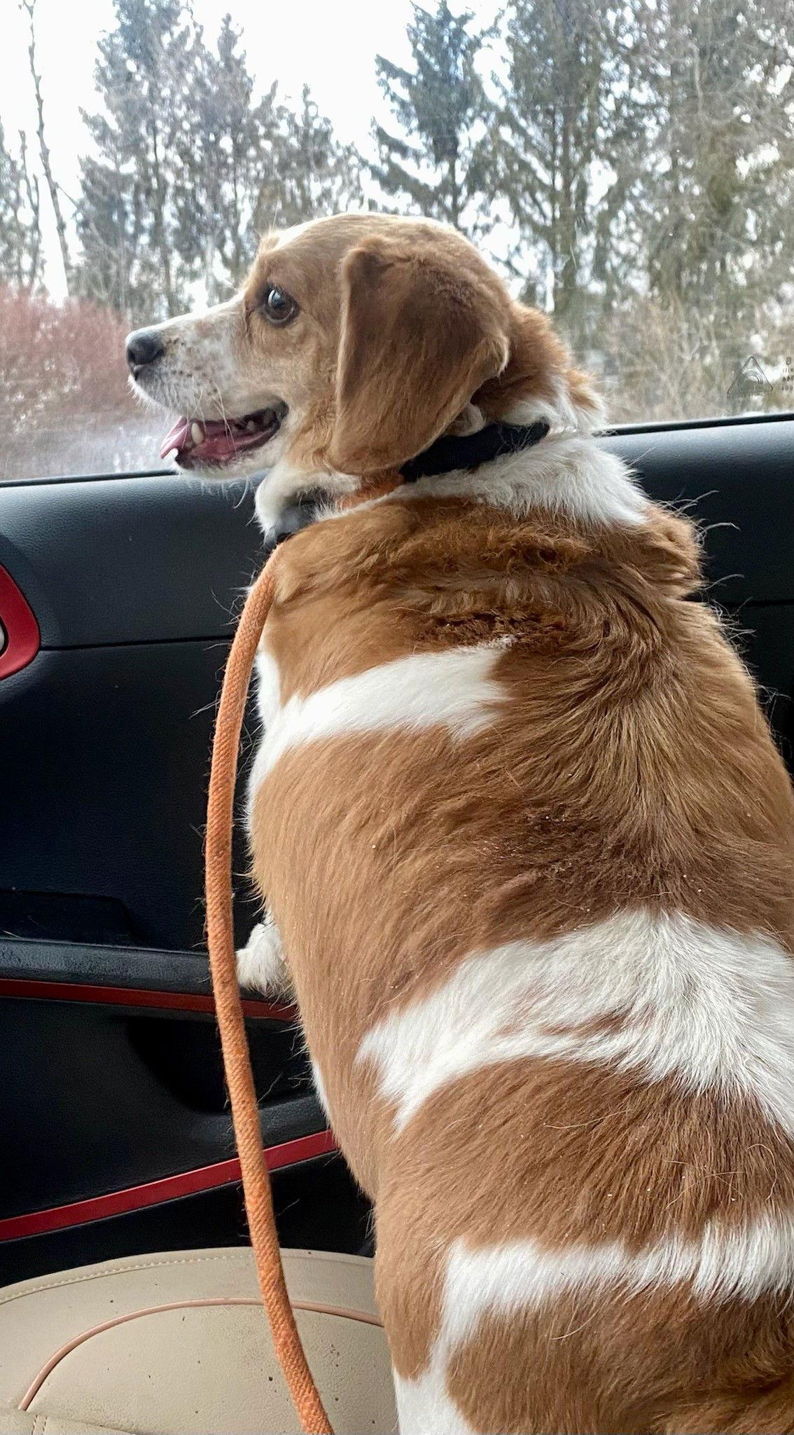 Bella NJ — thumbnail 9