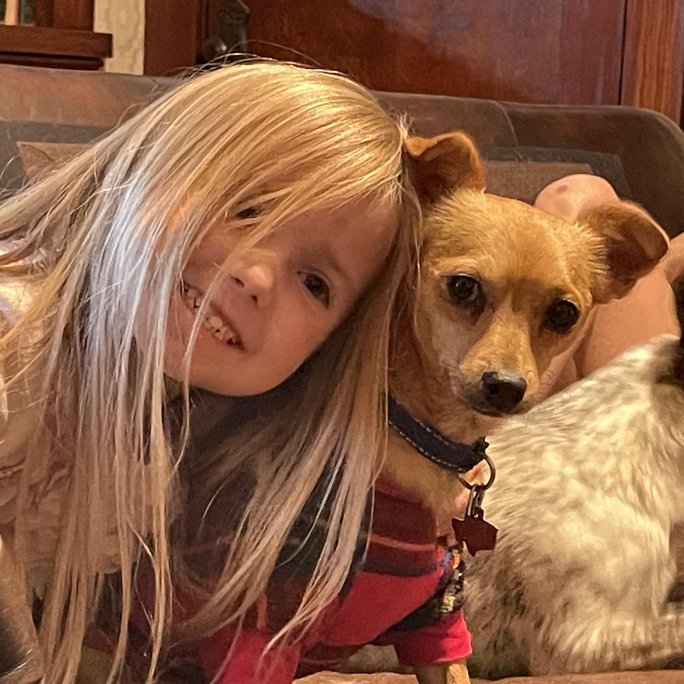 Enlarge Bruiser, a Adoptable Chiweenie in Dripping Springs, TX image 5/6