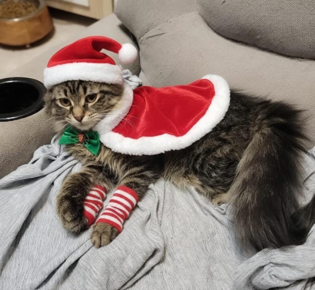 Rocio And Regina thumbnail 2