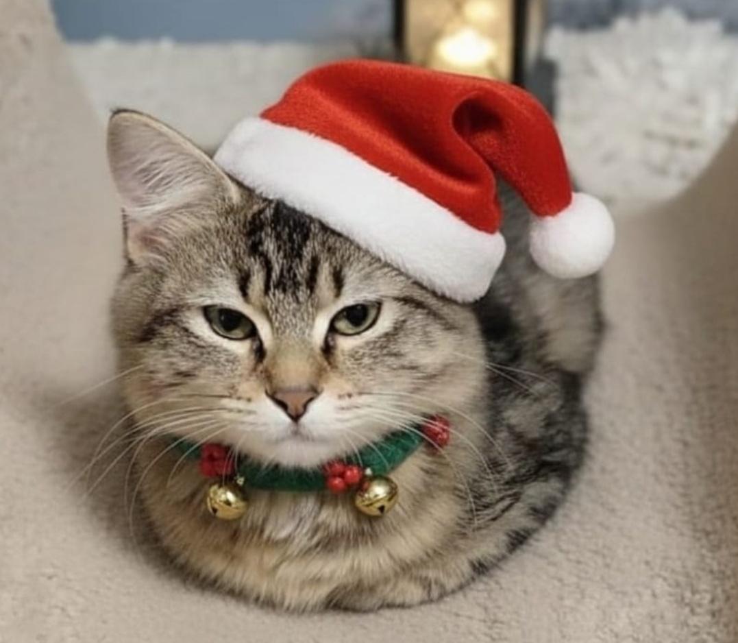 Rocio And Regina thumbnail 3