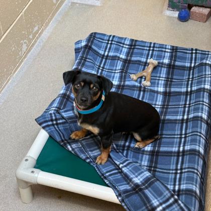 Maya — thumbnail 3