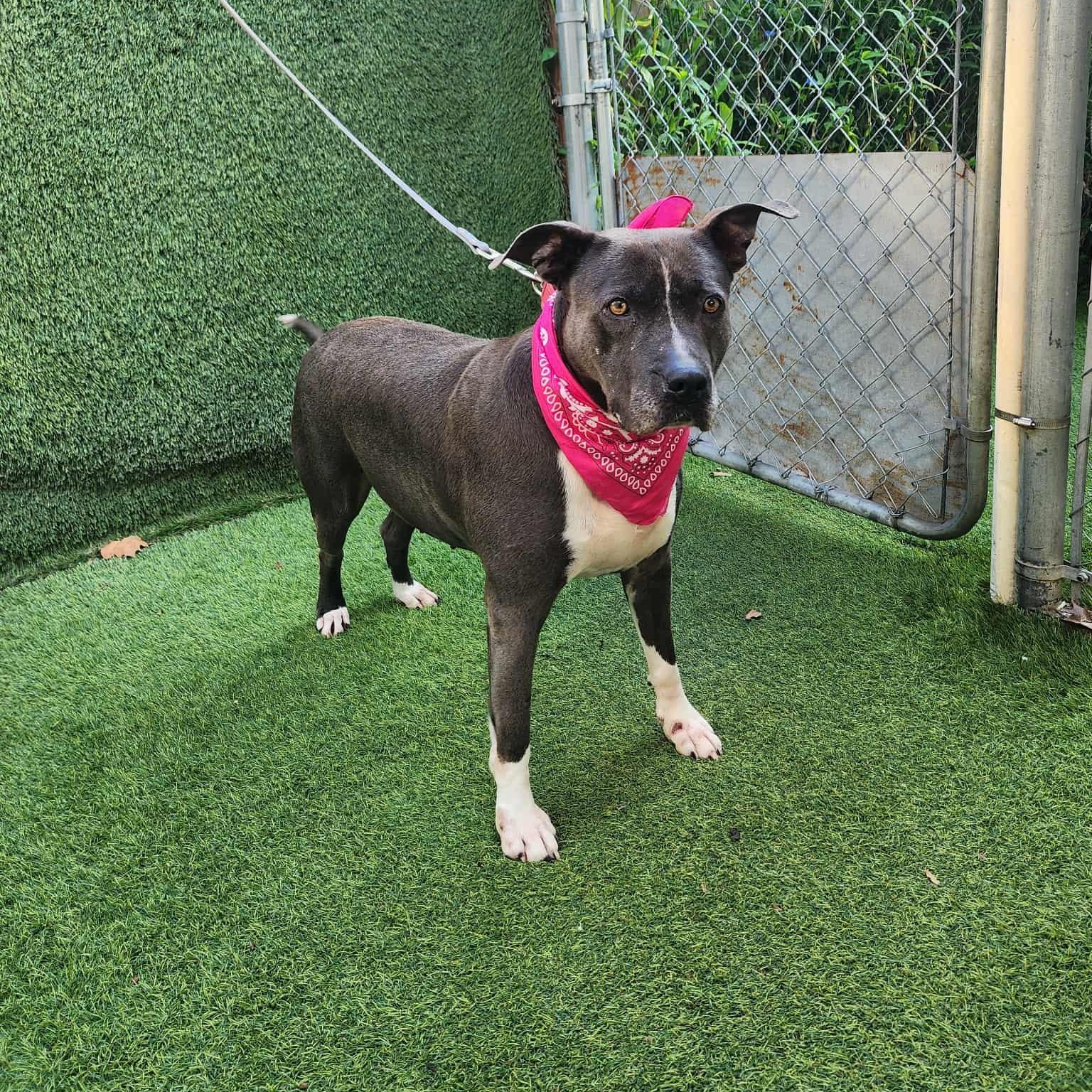 Denver — thumbnail 2