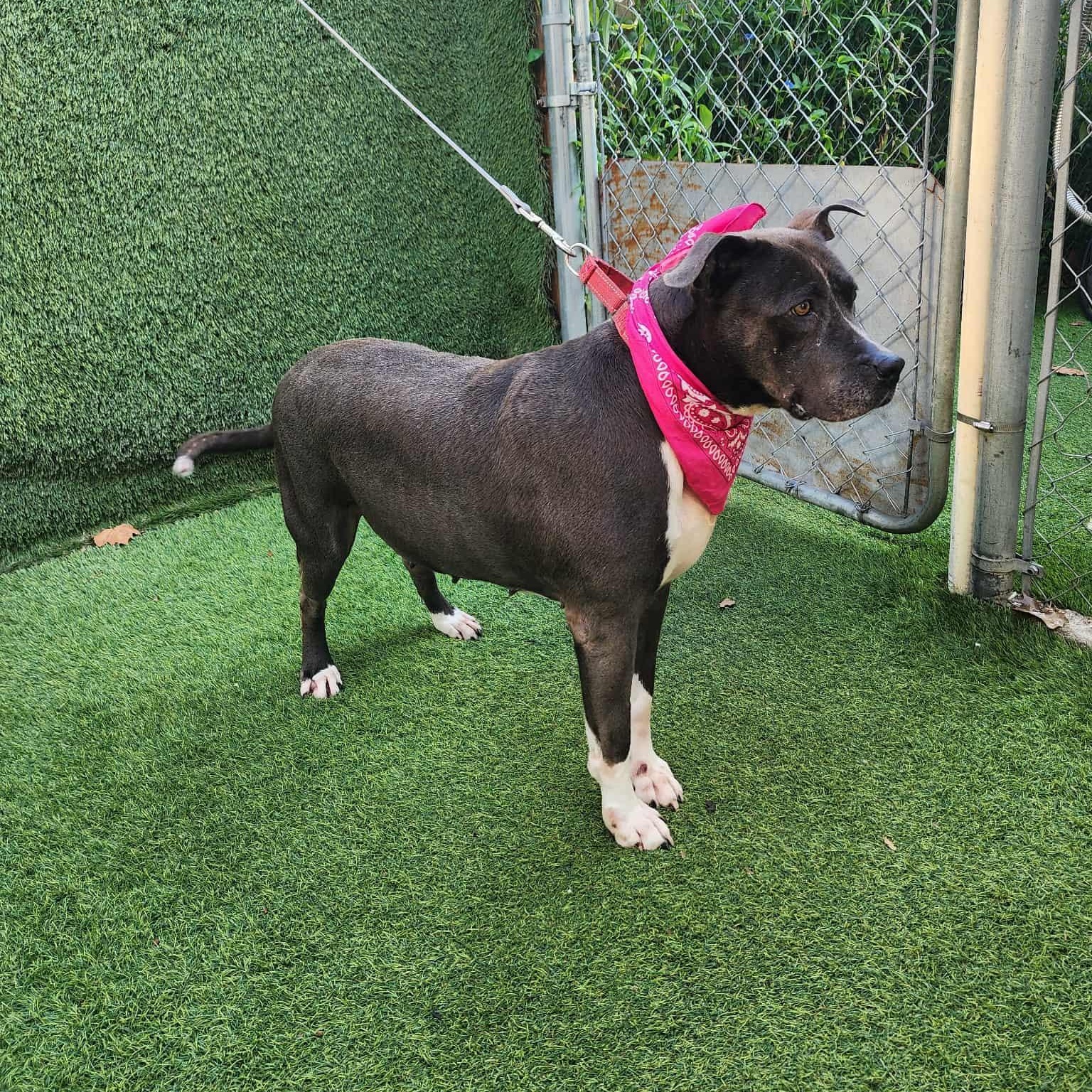 Denver — thumbnail 4