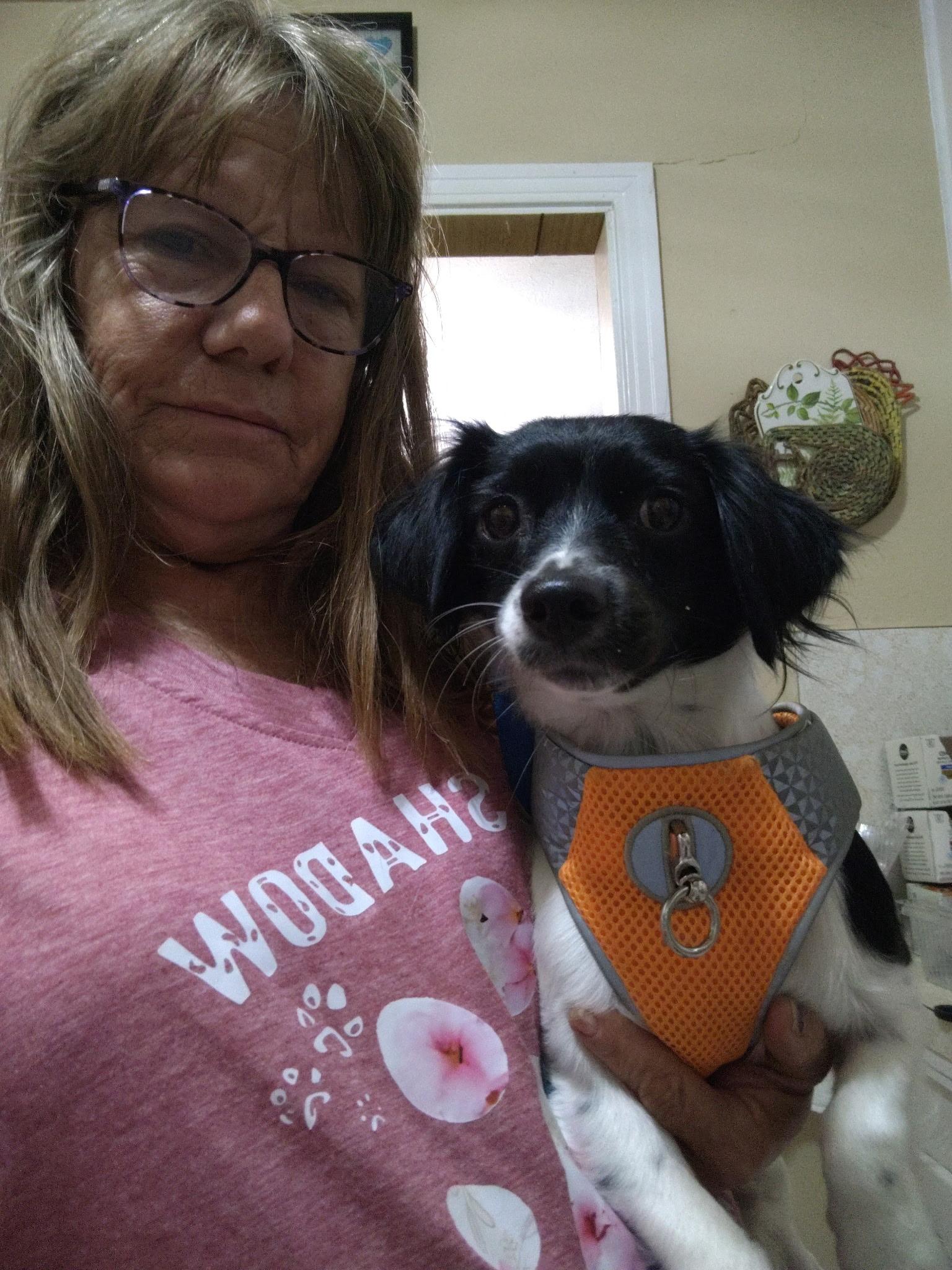 Enlarge Luca, a Adopted mixed breed in Garland, TX image 3/4