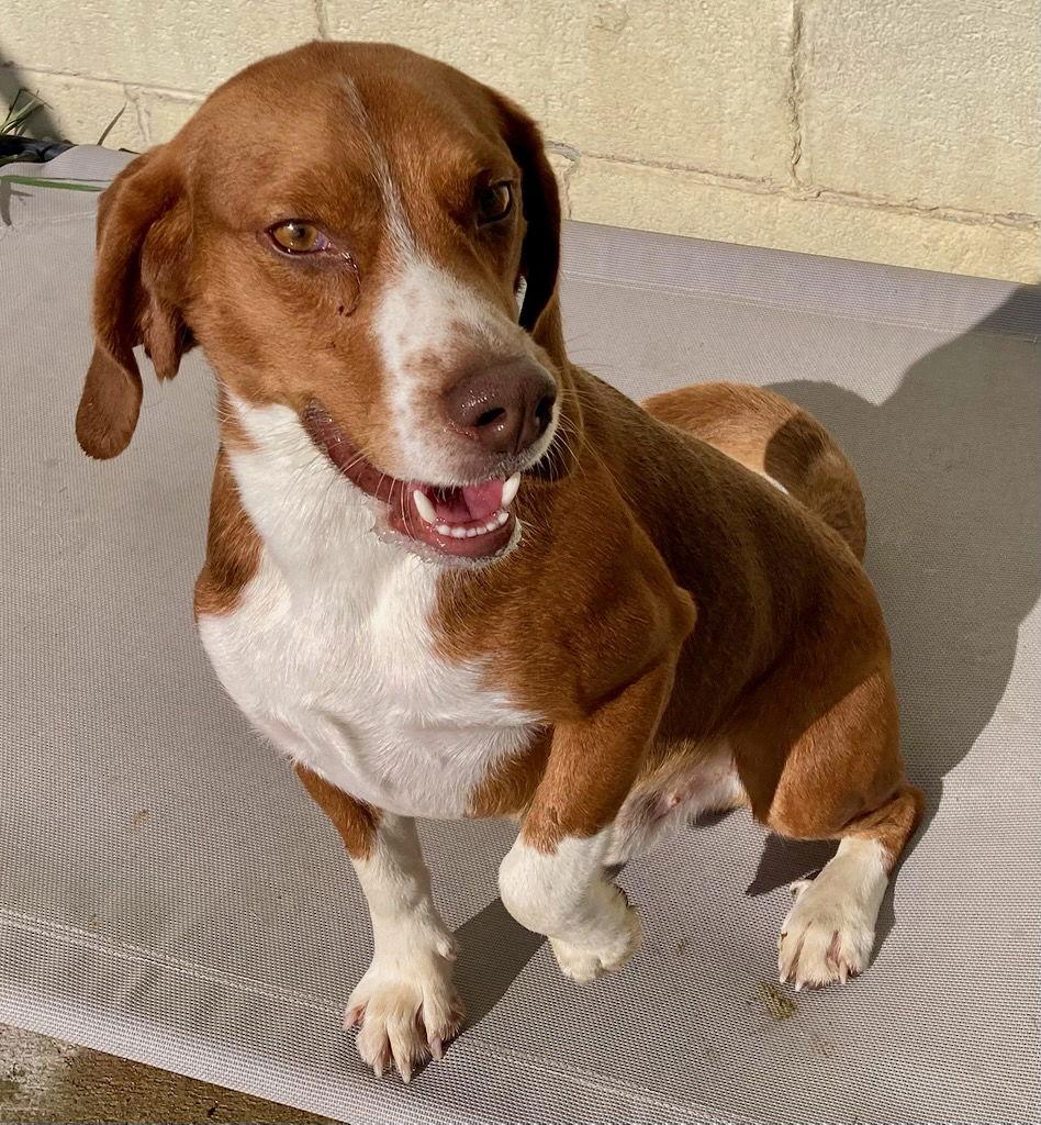 Devon — thumbnail 3