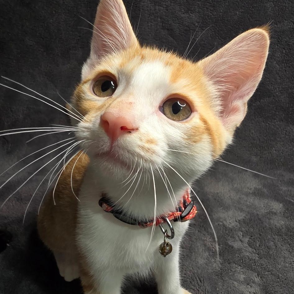 Sam