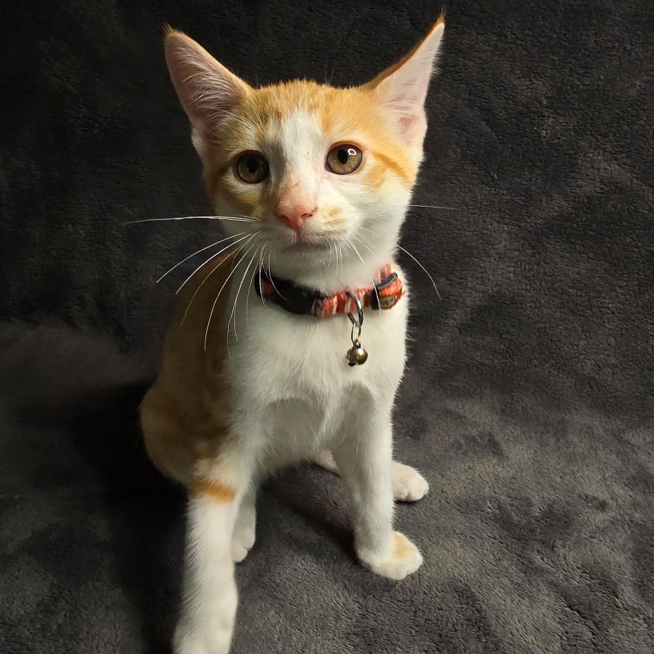 Sam