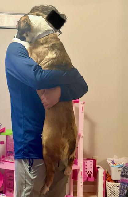 Enlarge Penelope, an adoptable mixed breed in Loudon, TN image 4/6