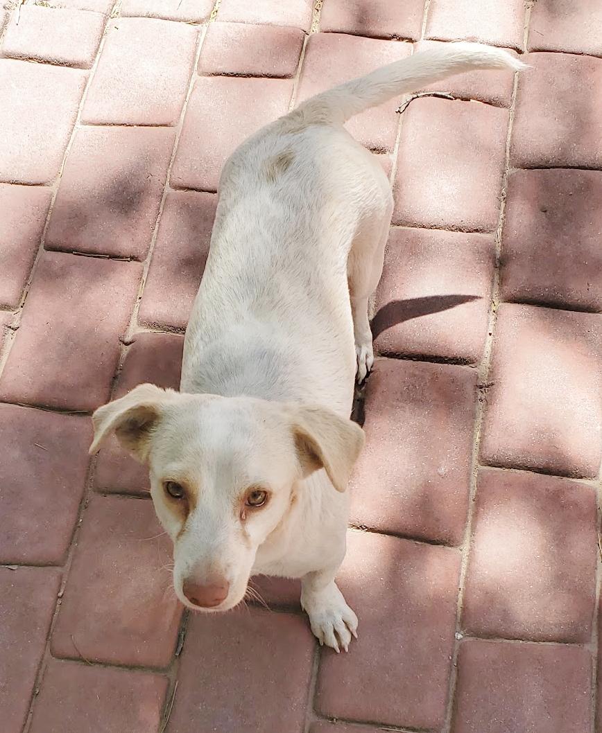 Mimi