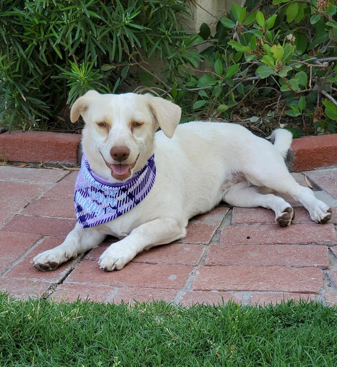 Mimi, Young Female unknown