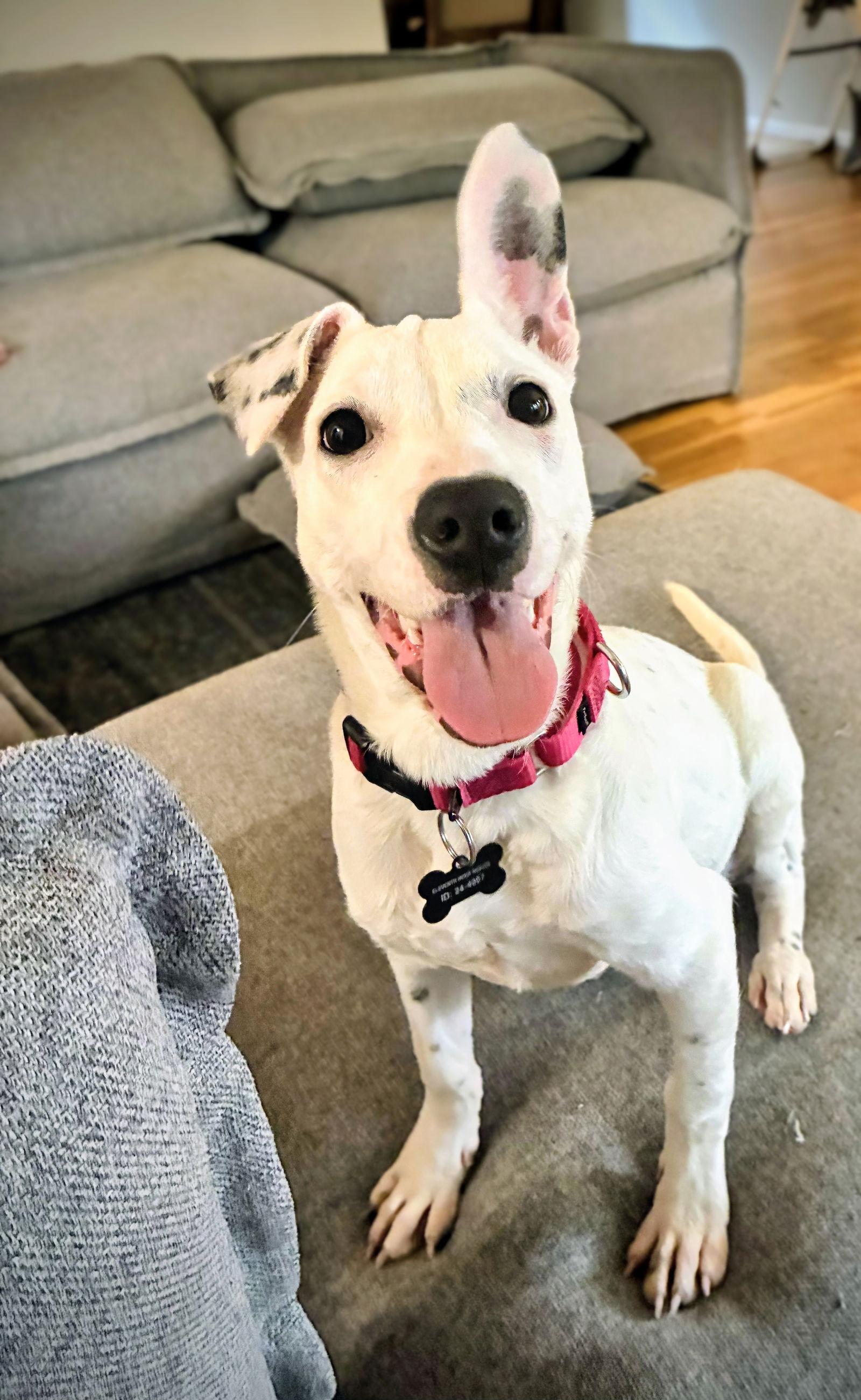 Chaka Louisiana thumbnail 2