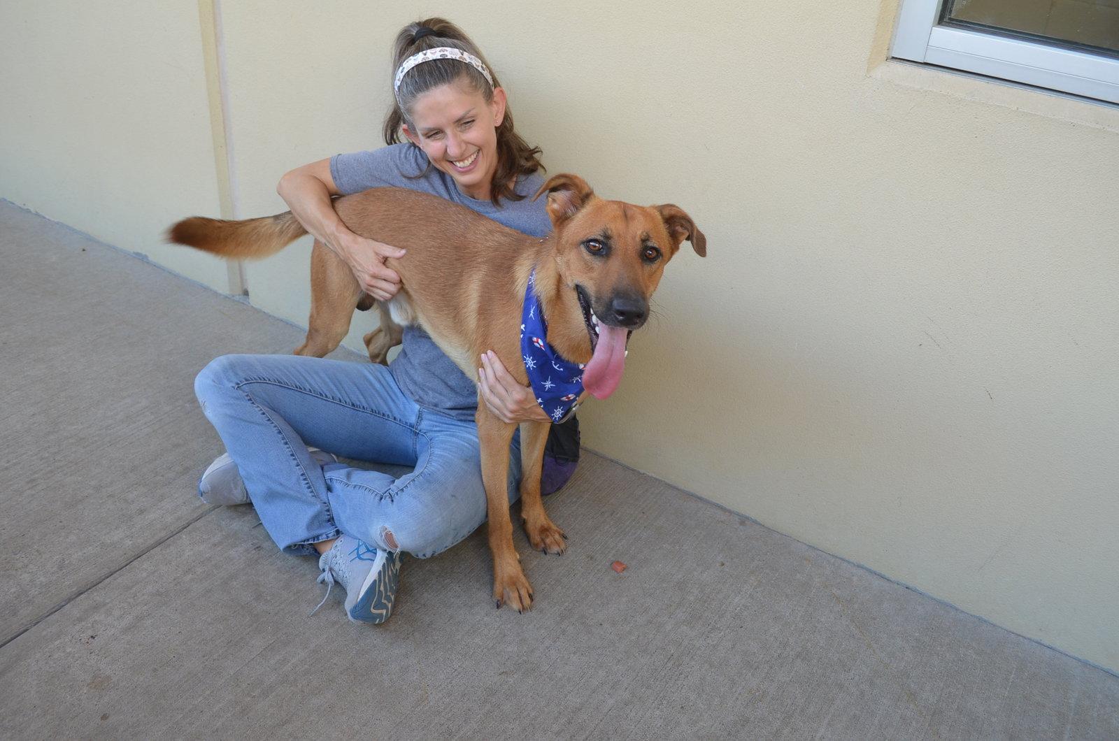 Enlarge Donut, a Adoptable German Shepherd Dog in McKinney, TX image 3/3