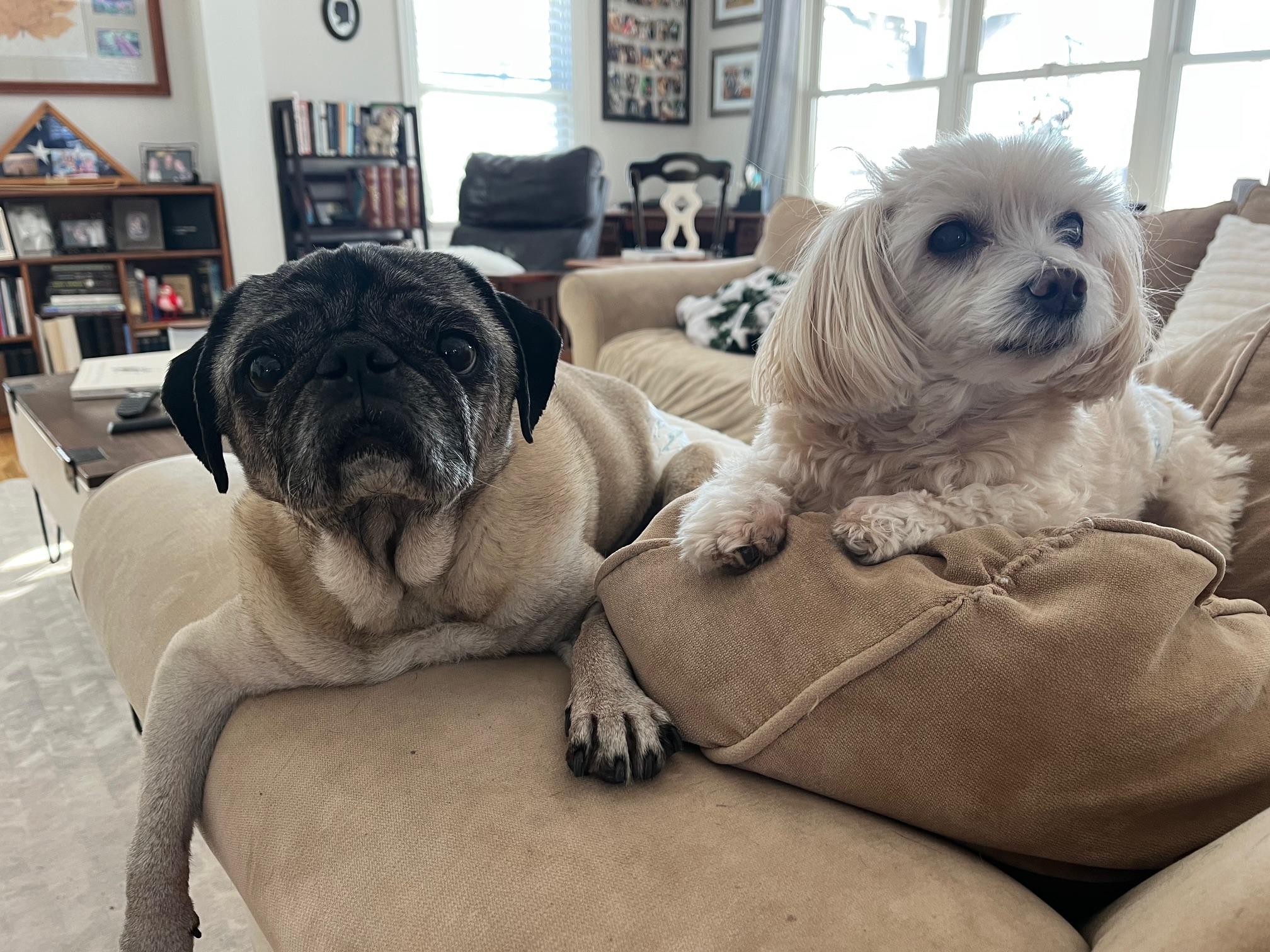 Luke — thumbnail 3