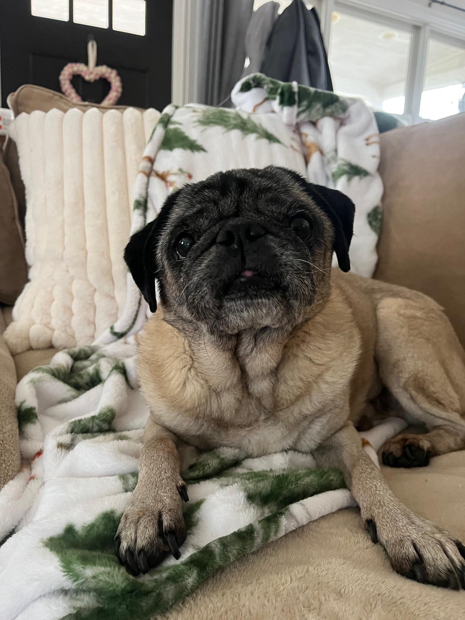 Luke — thumbnail 4