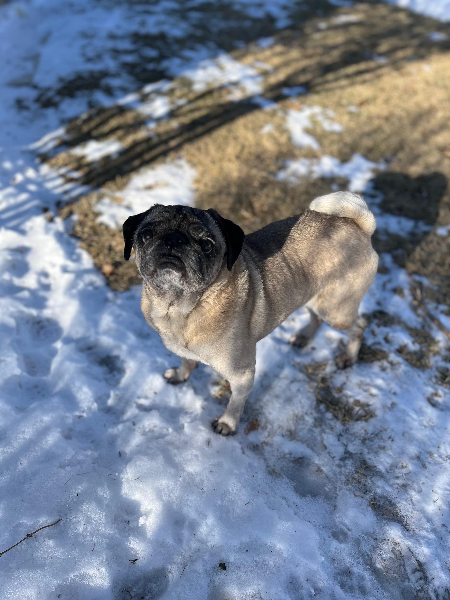 Luke — thumbnail 5