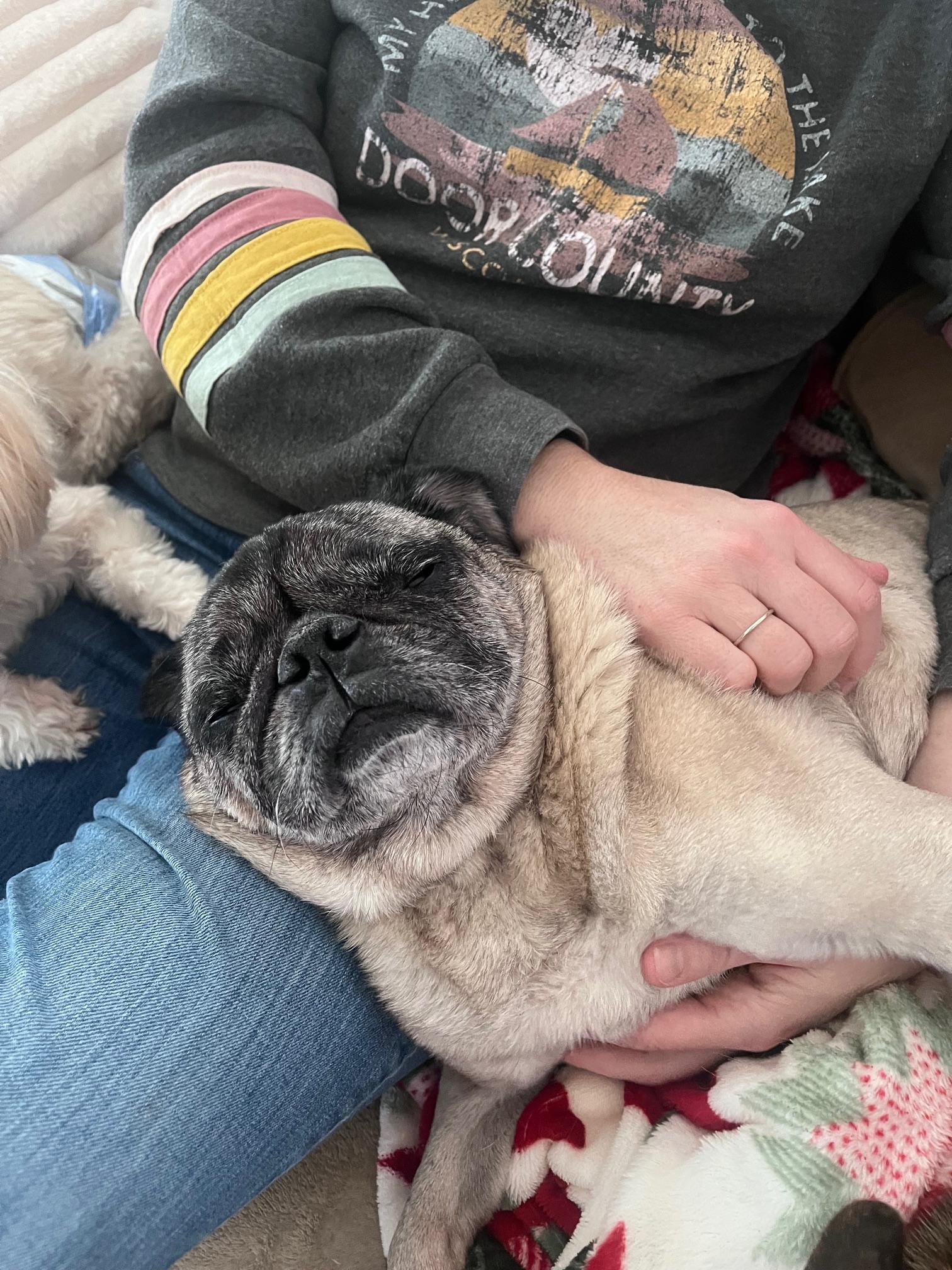 Luke — thumbnail 6