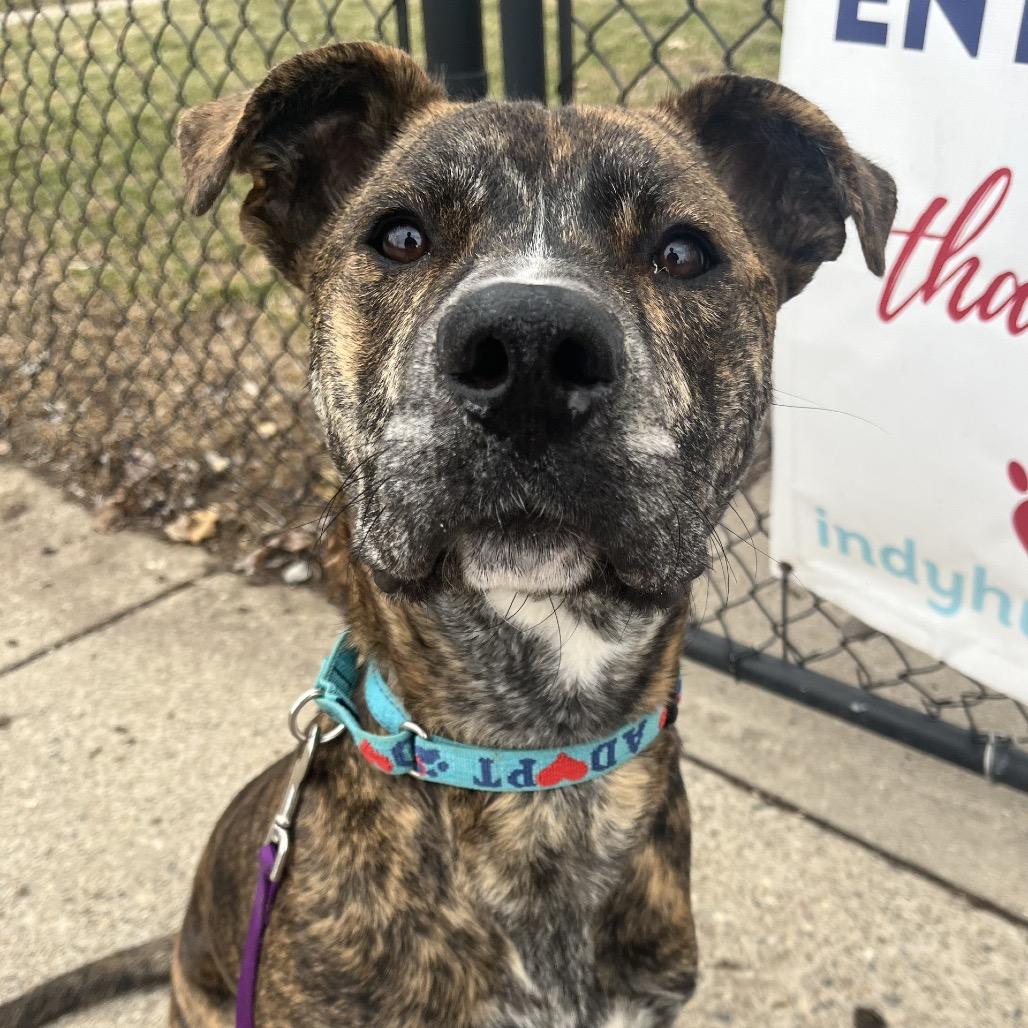 Lucky — thumbnail 2