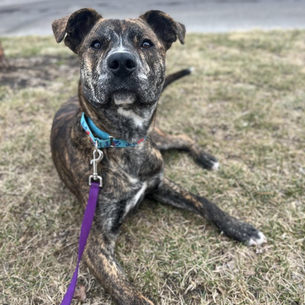 Lucky — thumbnail 4