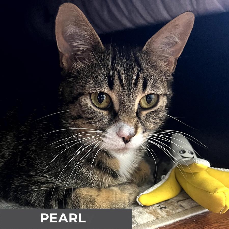 Pearl
