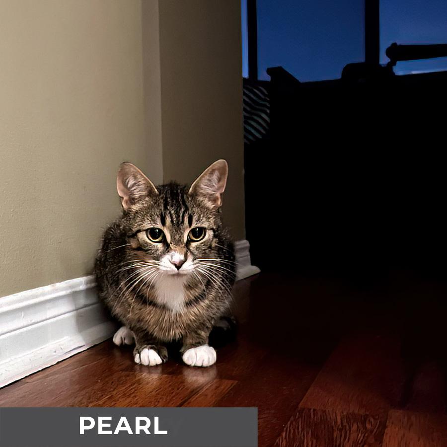 Pearl 4