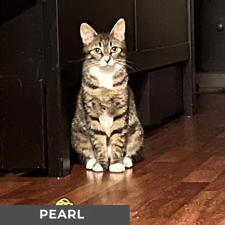 Pearl 2
