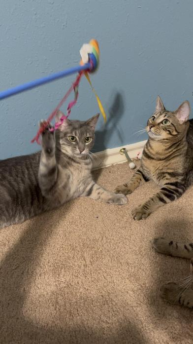 Delilah — thumbnail 5