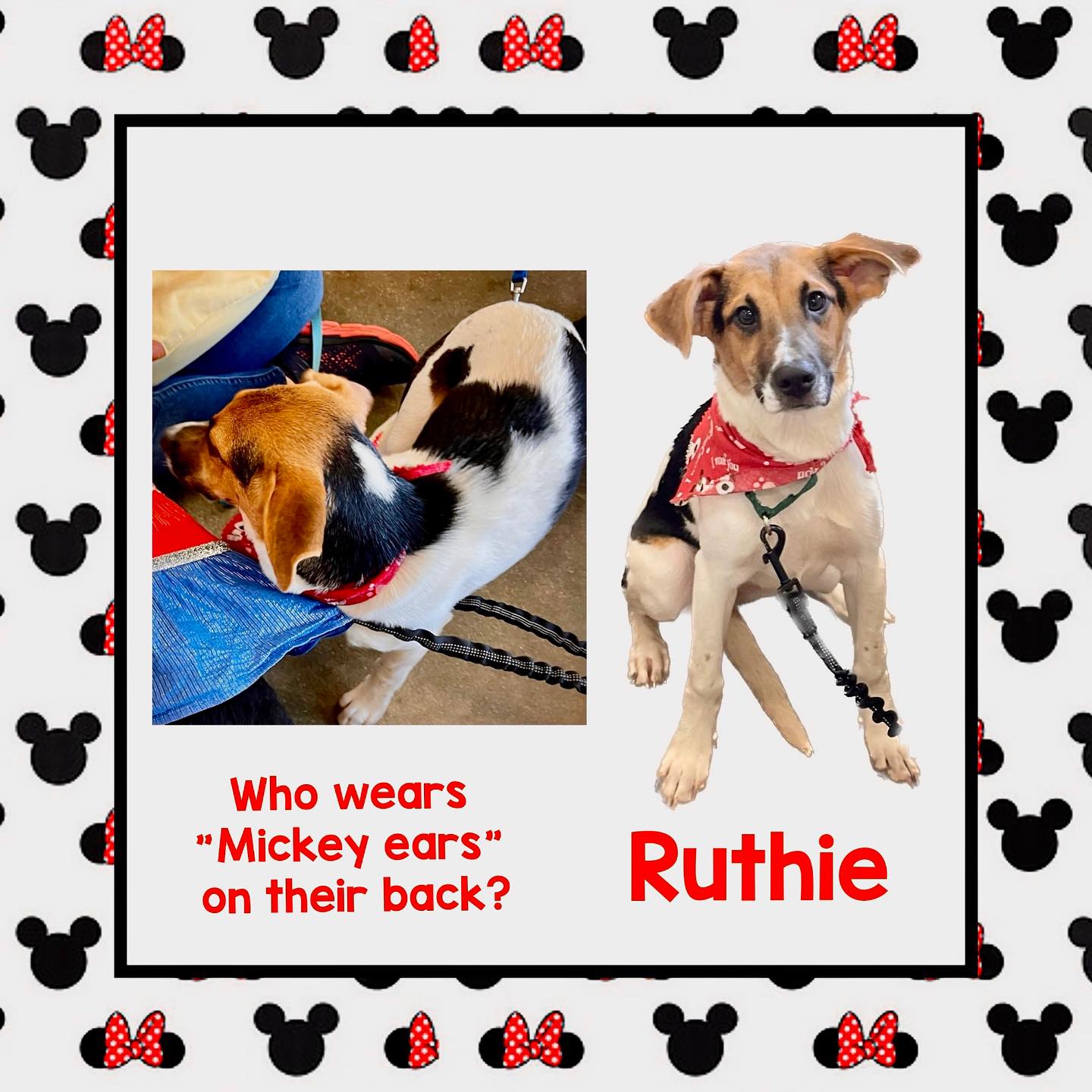 Ruthie