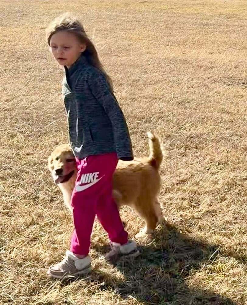 Enlarge Judy Haynes, a Adoptable mixed breed in Troy, VA image 6/6