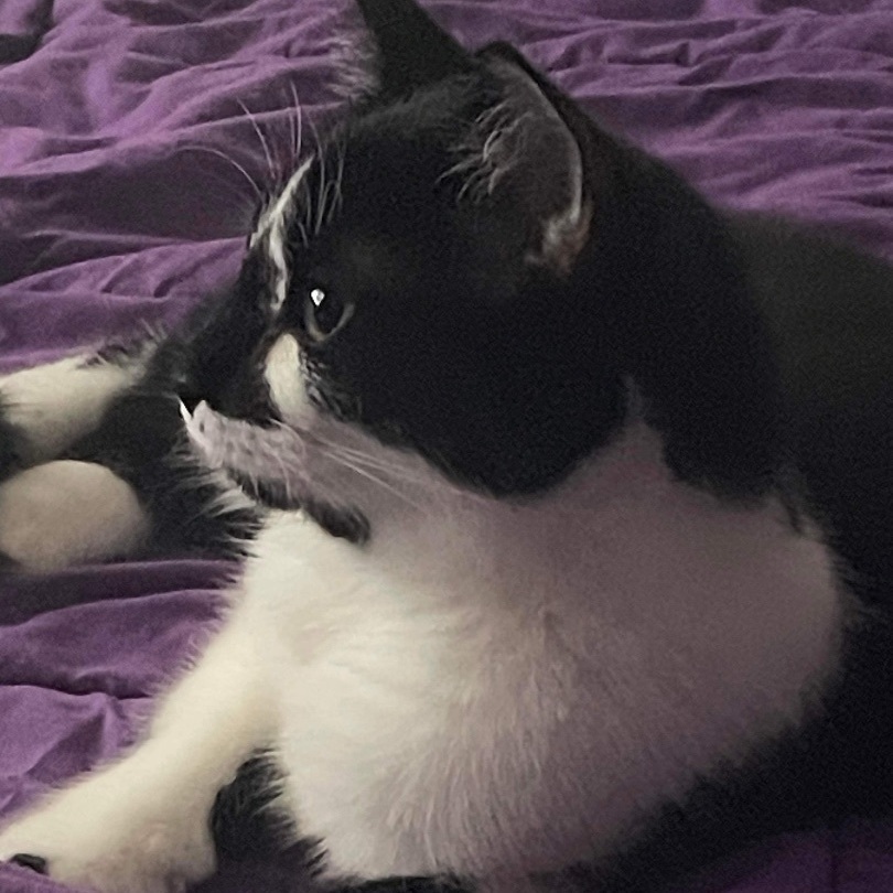 Sarah
