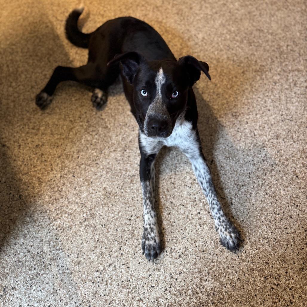 Jane — thumbnail 5