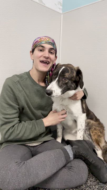 Enlarge Xena , a ADOPTABLE mixed breed in Aurora, ON video 2/6