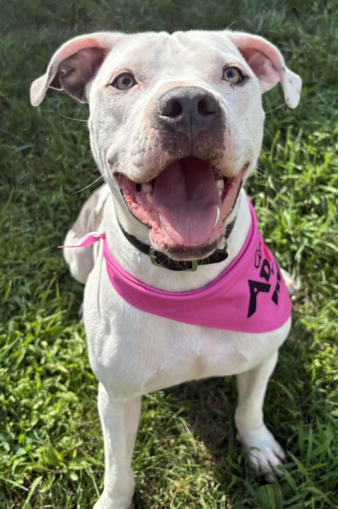 Monteray — thumbnail 3