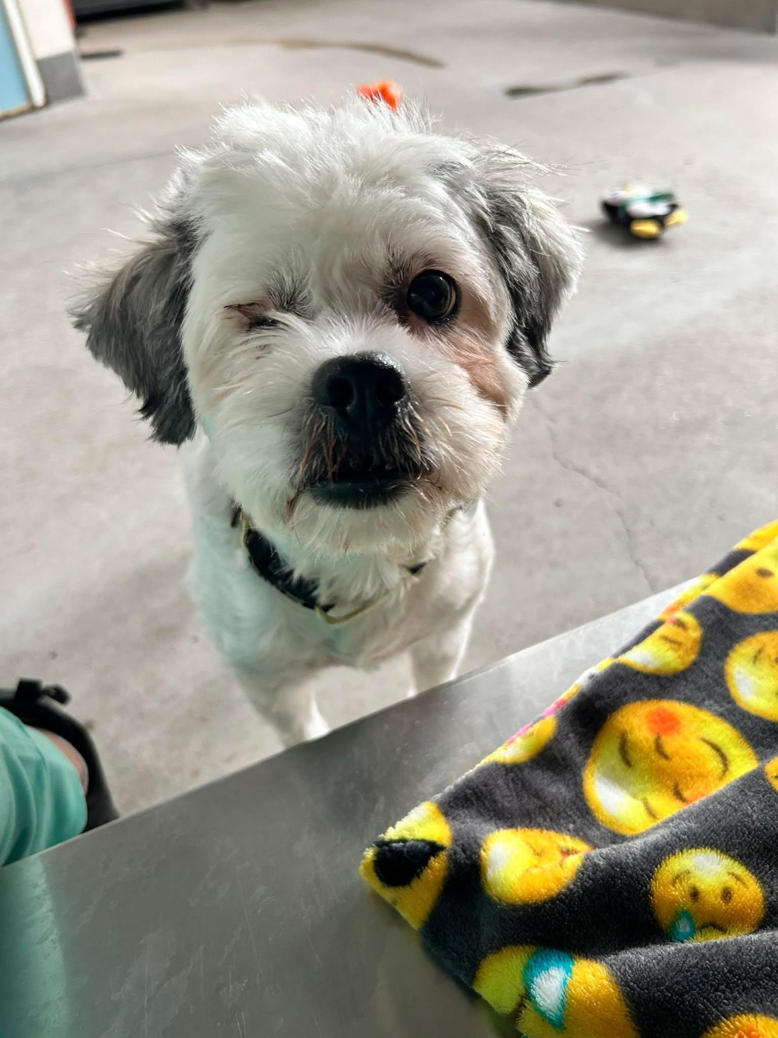 Jane — thumbnail 2