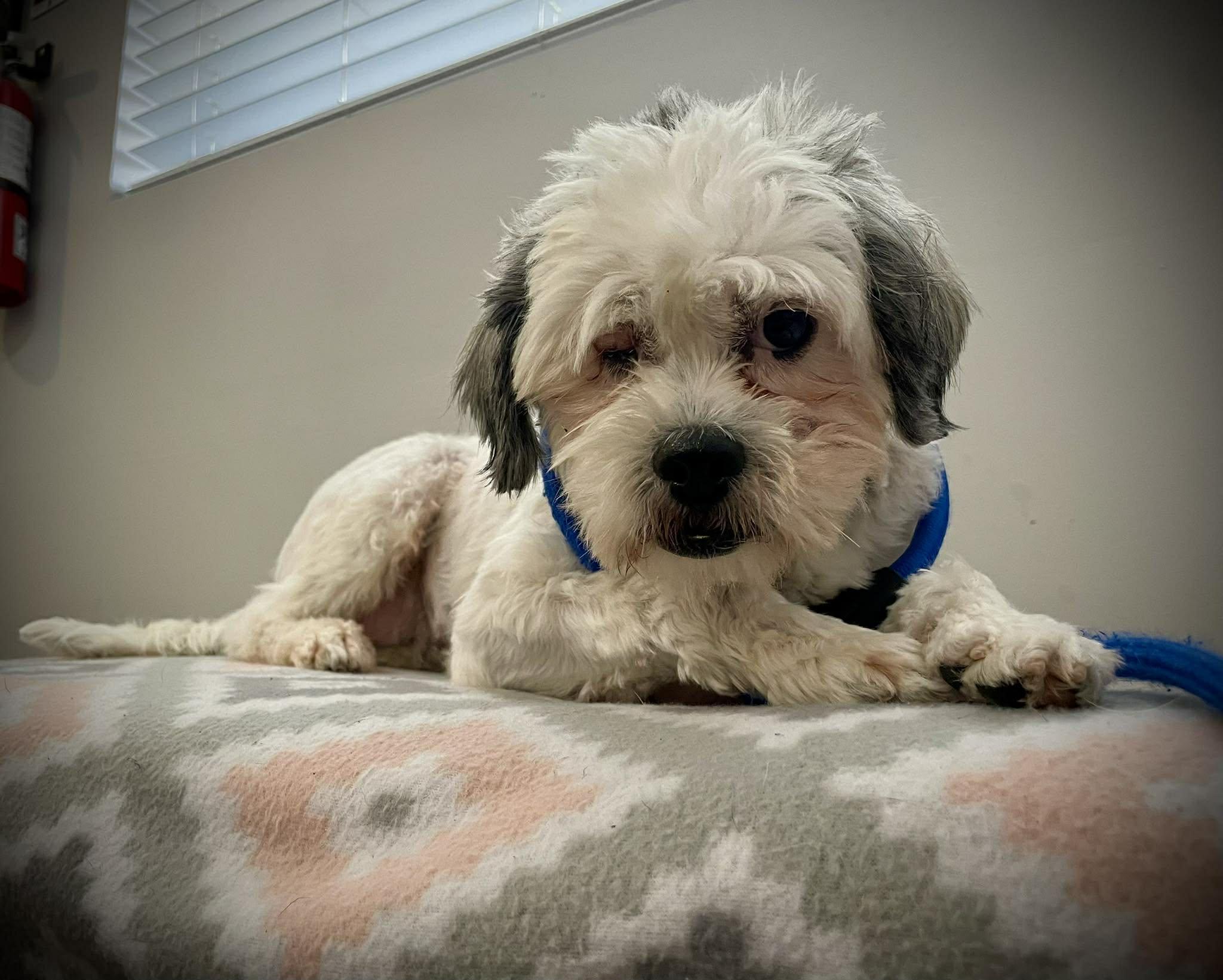 Jane — thumbnail 3