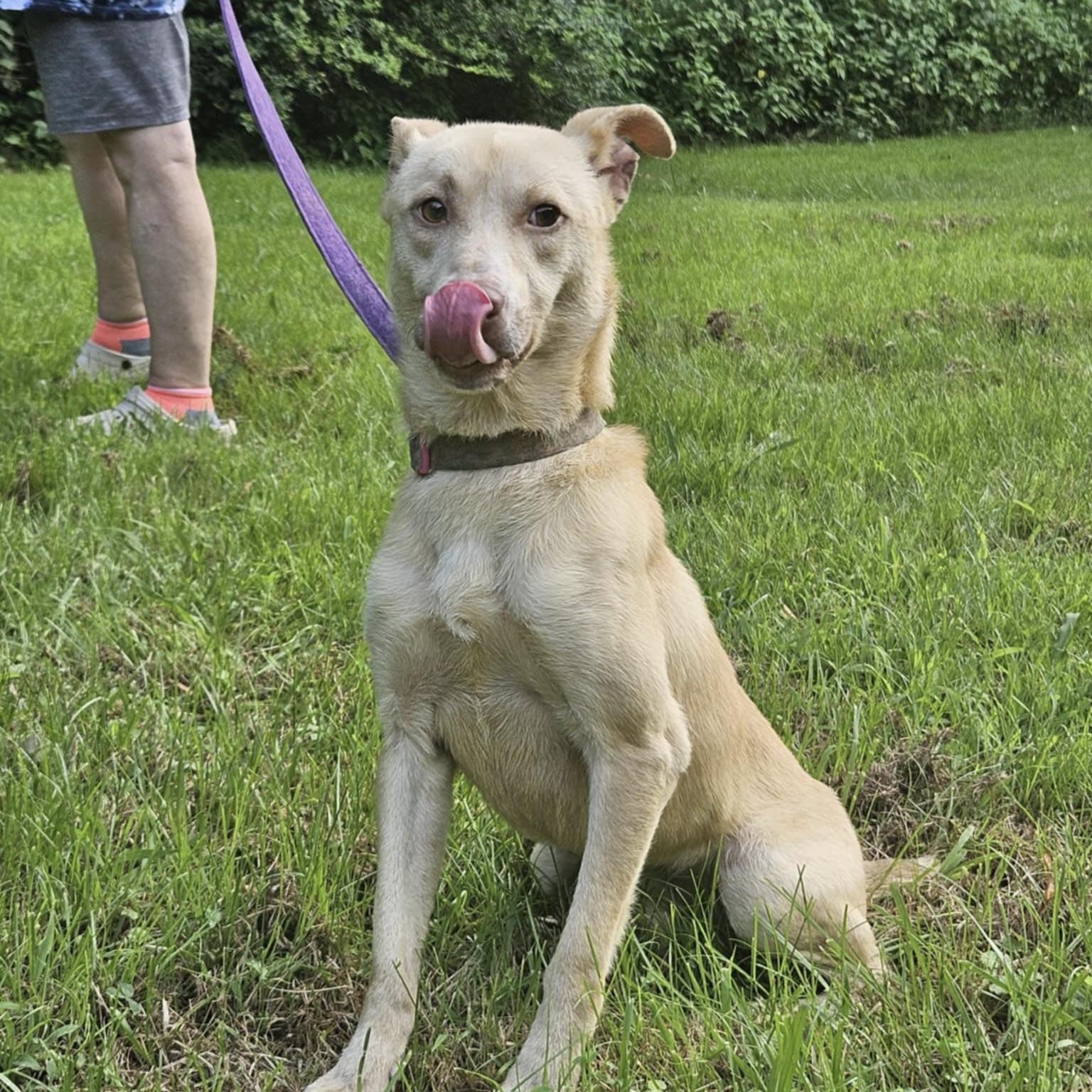 Neko (20250730-05) — thumbnail 2