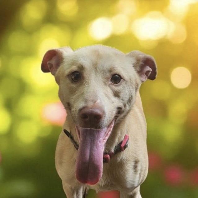 Neko (20250730-05) — thumbnail 3