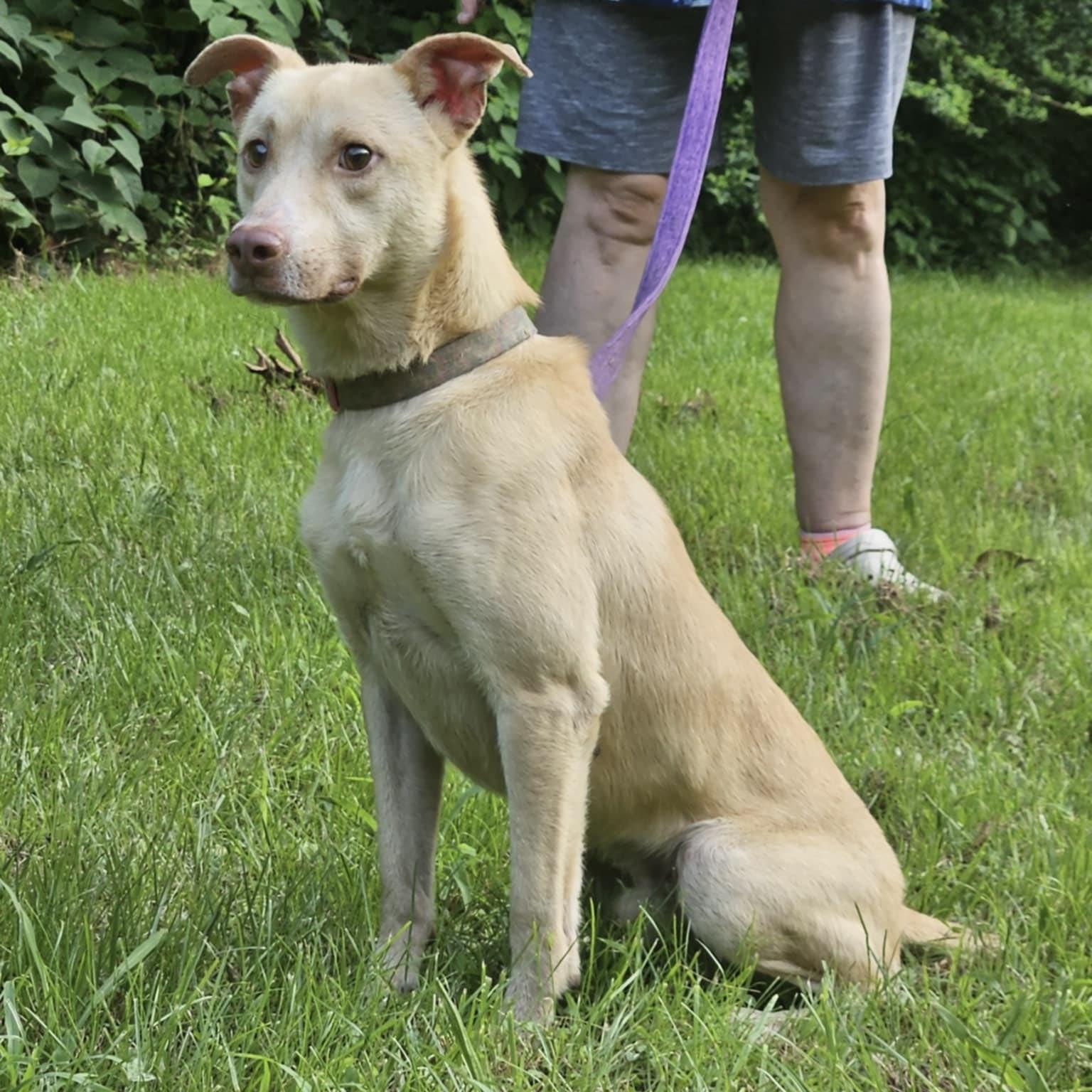 Neko (20250730-05) — thumbnail 4