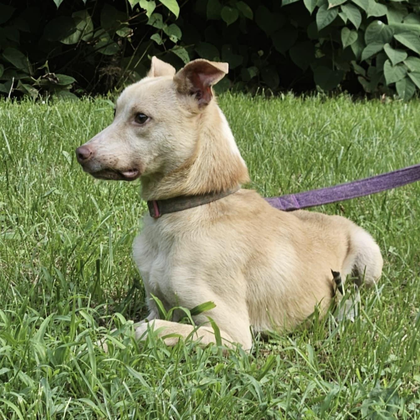 Neko (20250730-05) — thumbnail 5